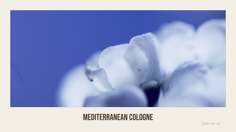 mediterranean cologne
